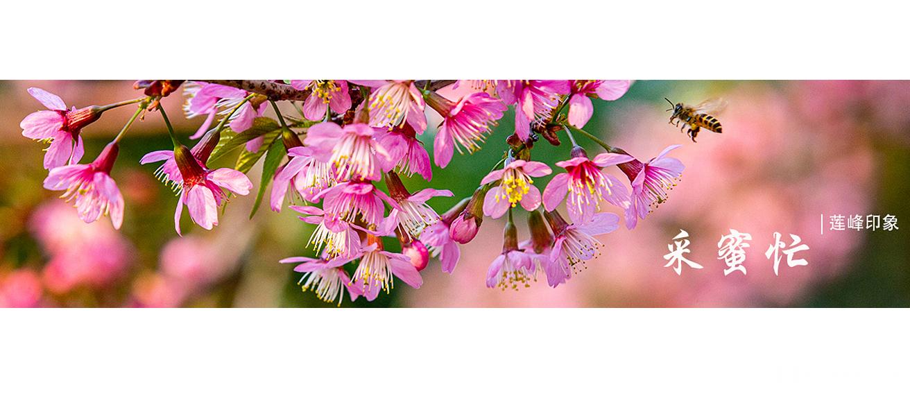 sunbet申博,申博官网,sunbet官网