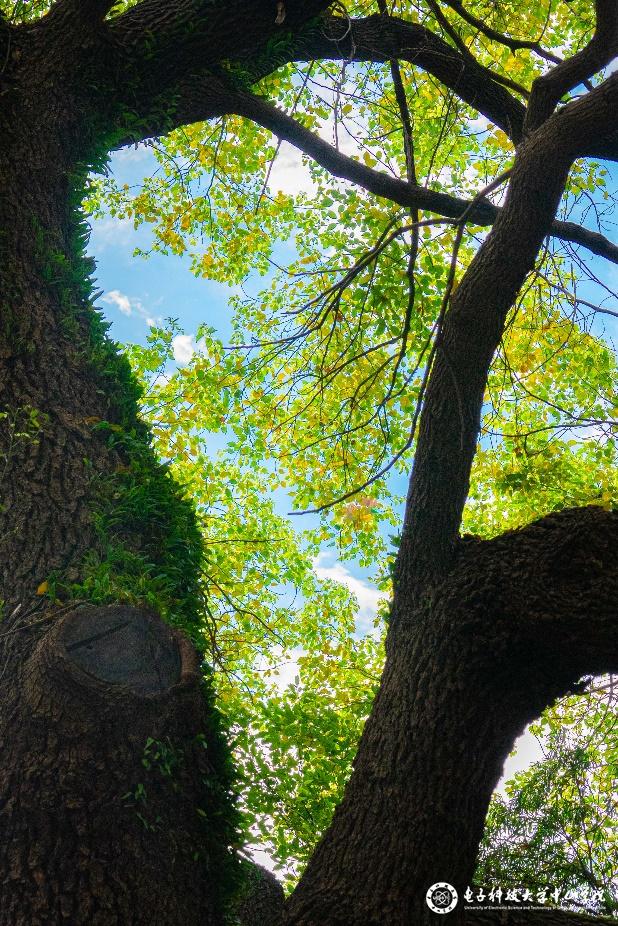 sunbet申博,申博官网,sunbet官网