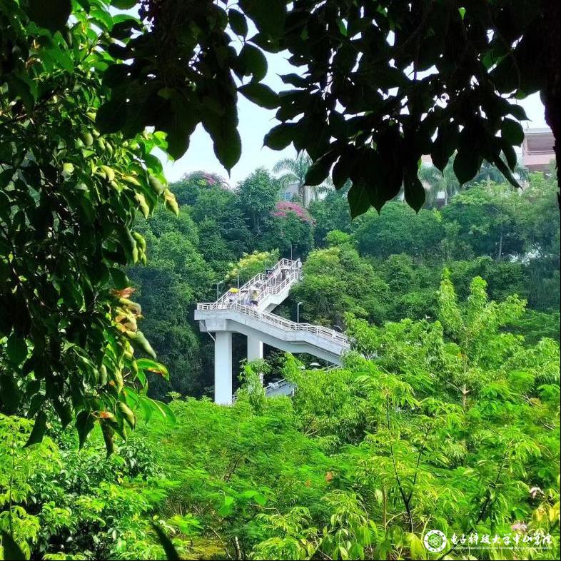 sunbet申博,申博官网,sunbet官网