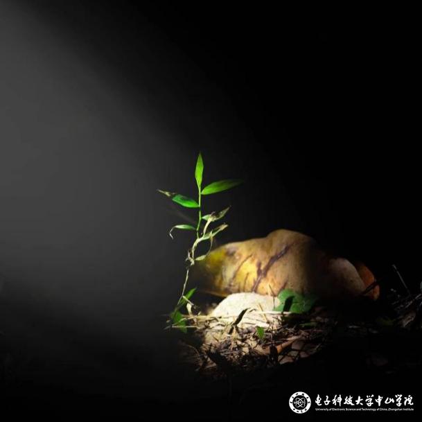 sunbet申博,申博官网,sunbet官网