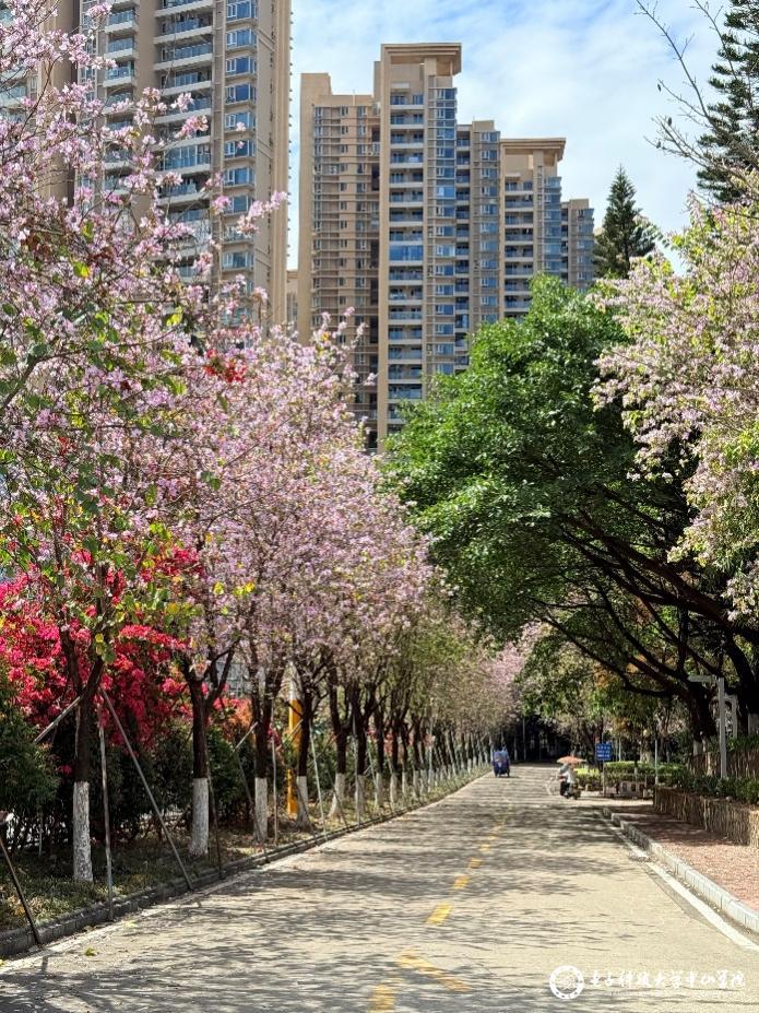 sunbet申博,申博官网,sunbet官网