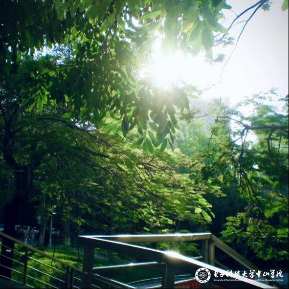 sunbet申博,申博官网,sunbet官网