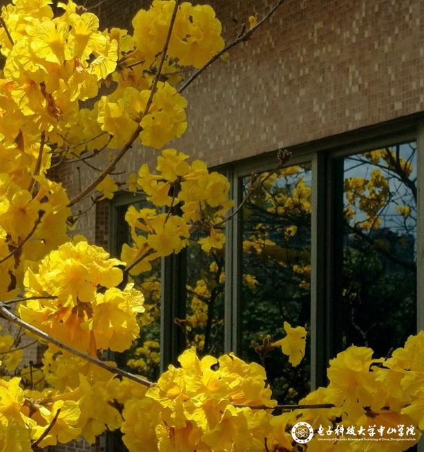 sunbet申博,申博官网,sunbet官网