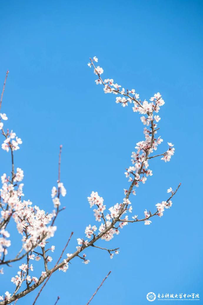 sunbet申博,申博官网,sunbet官网