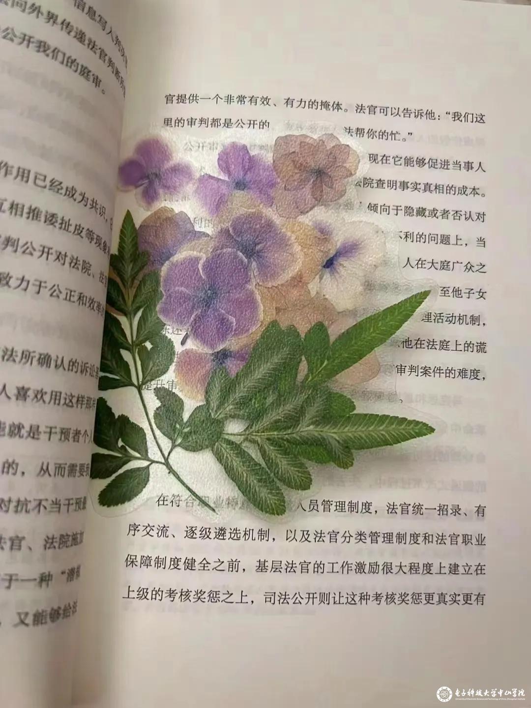 sunbet申博,申博官网,sunbet官网