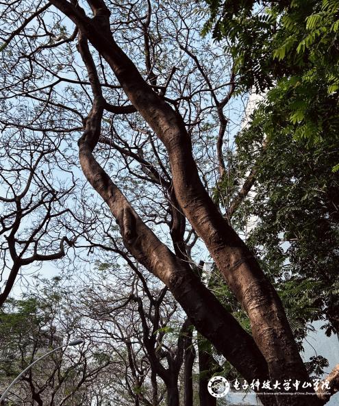 sunbet申博,申博官网,sunbet官网