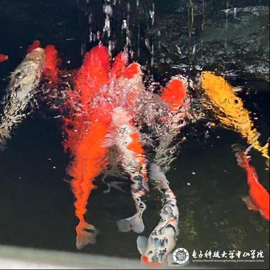 sunbet申博,申博官网,sunbet官网