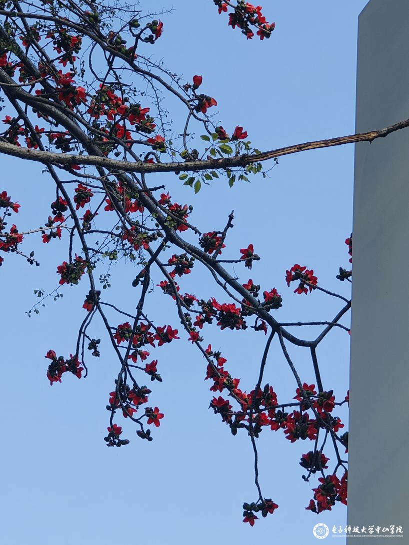 sunbet申博,申博官网,sunbet官网