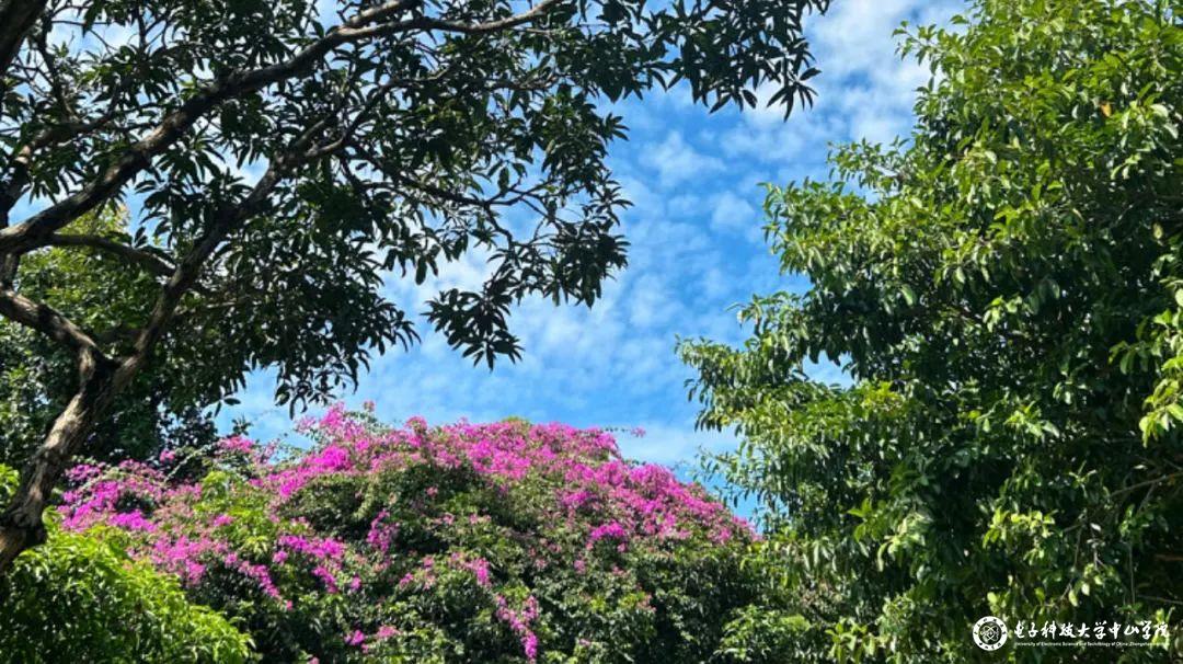 sunbet申博,申博官网,sunbet官网