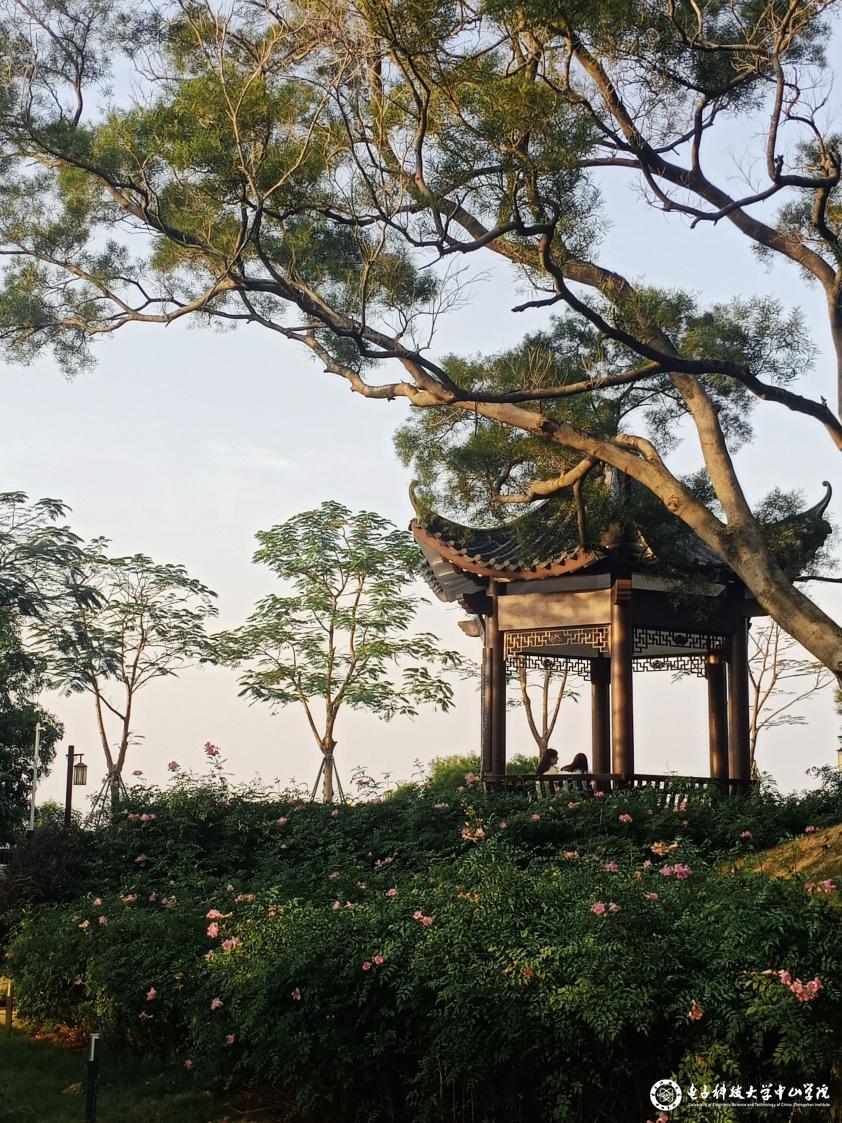 sunbet申博,申博官网,sunbet官网