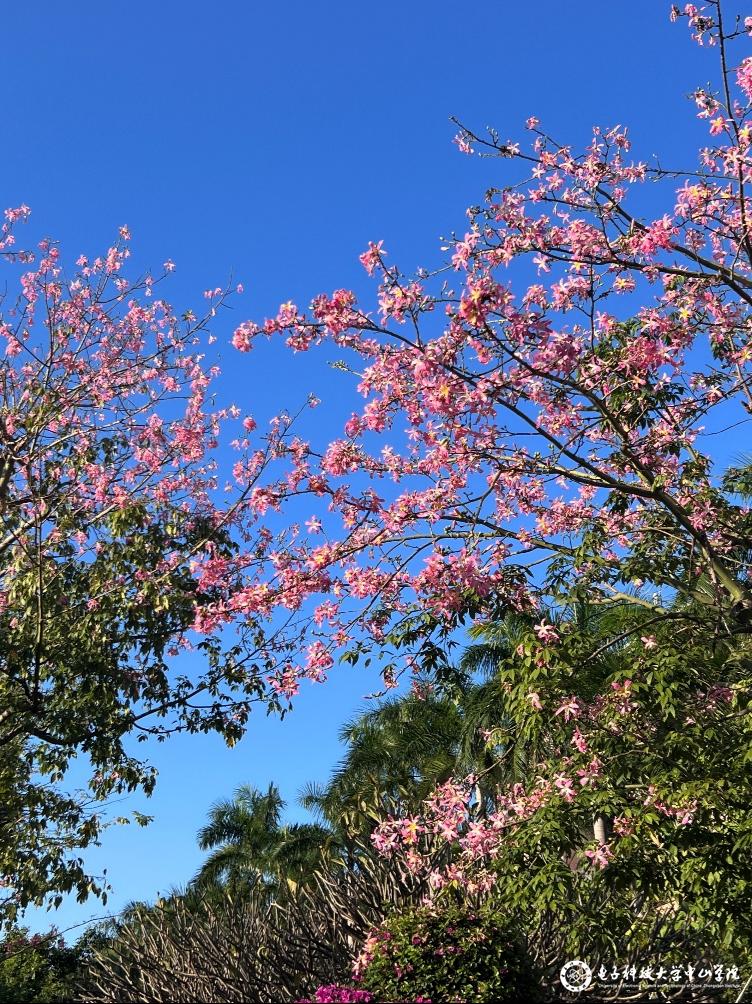 sunbet申博,申博官网,sunbet官网