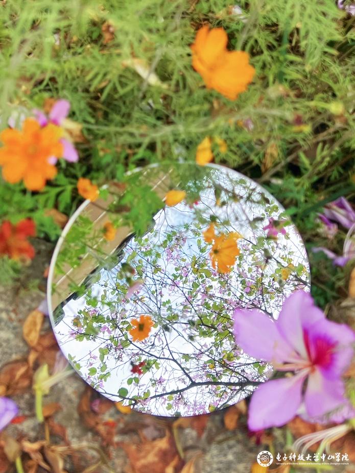 sunbet申博,申博官网,sunbet官网