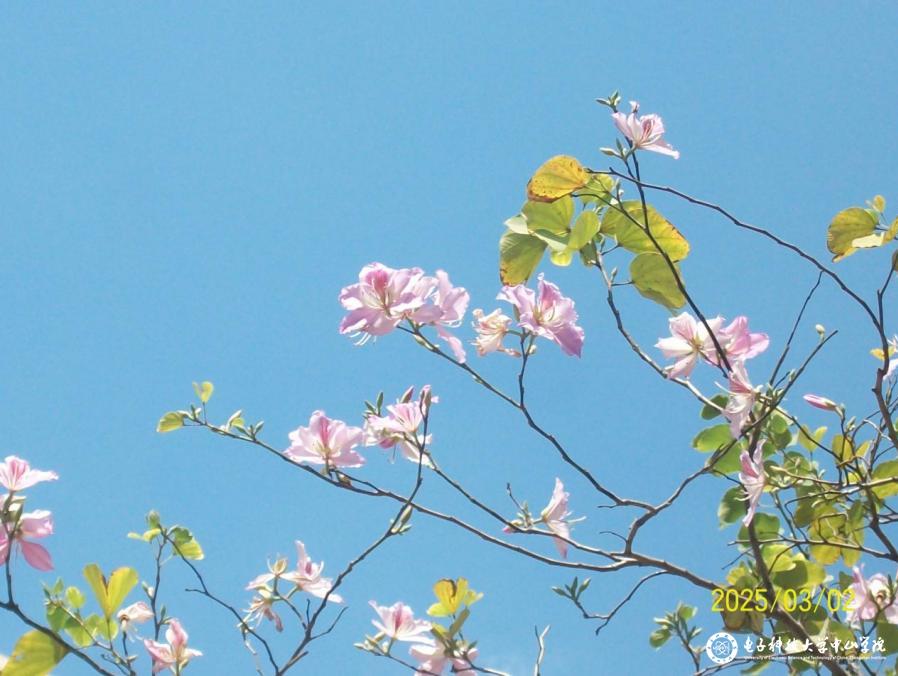 sunbet申博,申博官网,sunbet官网