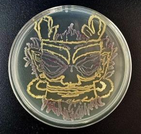 sunbet申博,申博官网,sunbet官网