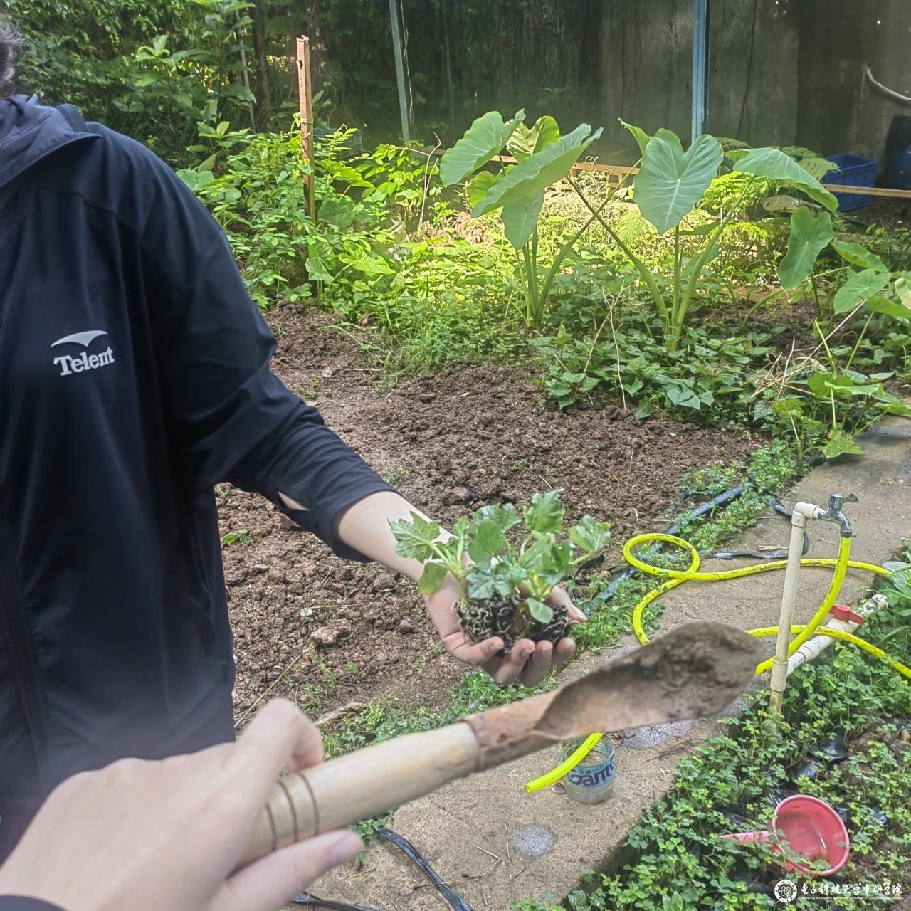 sunbet申博,申博官网,sunbet官网