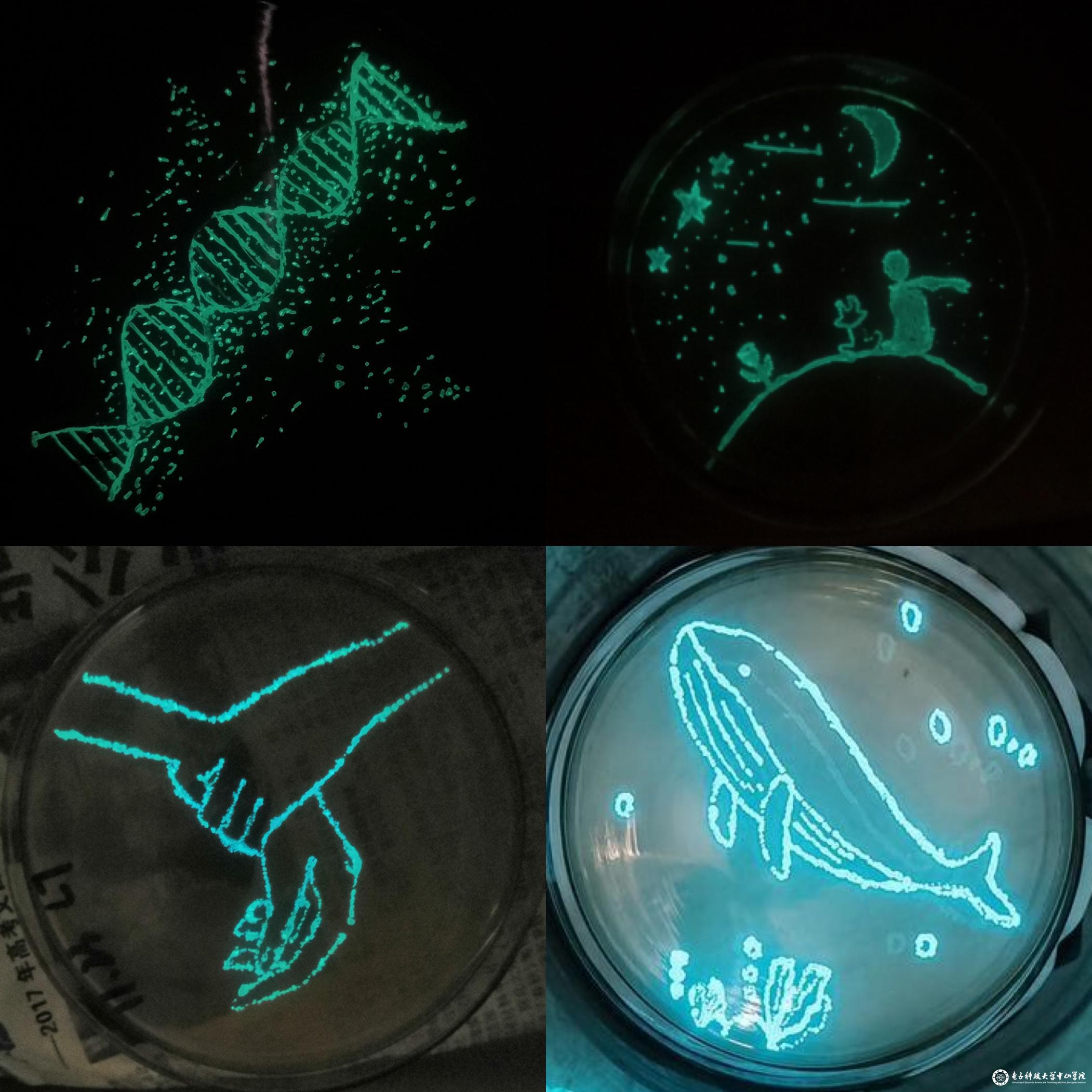 sunbet申博,申博官网,sunbet官网