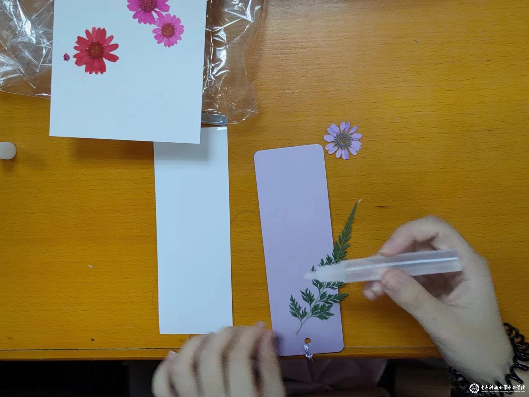 sunbet申博,申博官网,sunbet官网