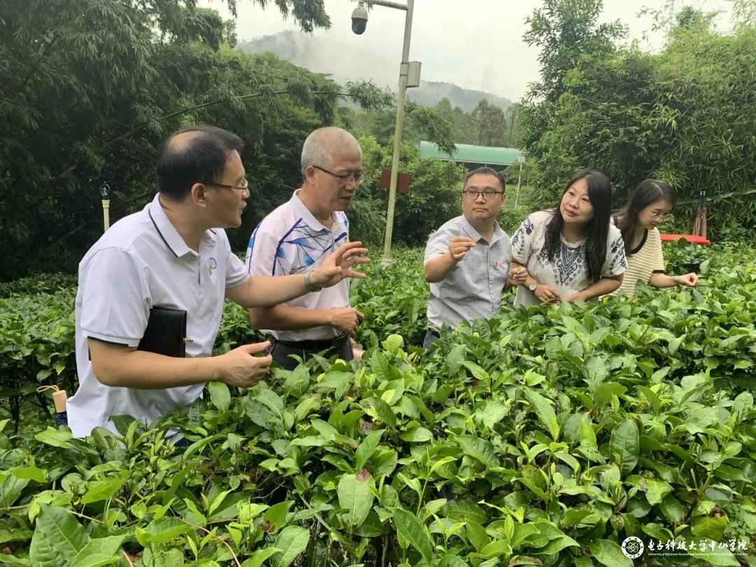 sunbet申博,申博官网,sunbet官网