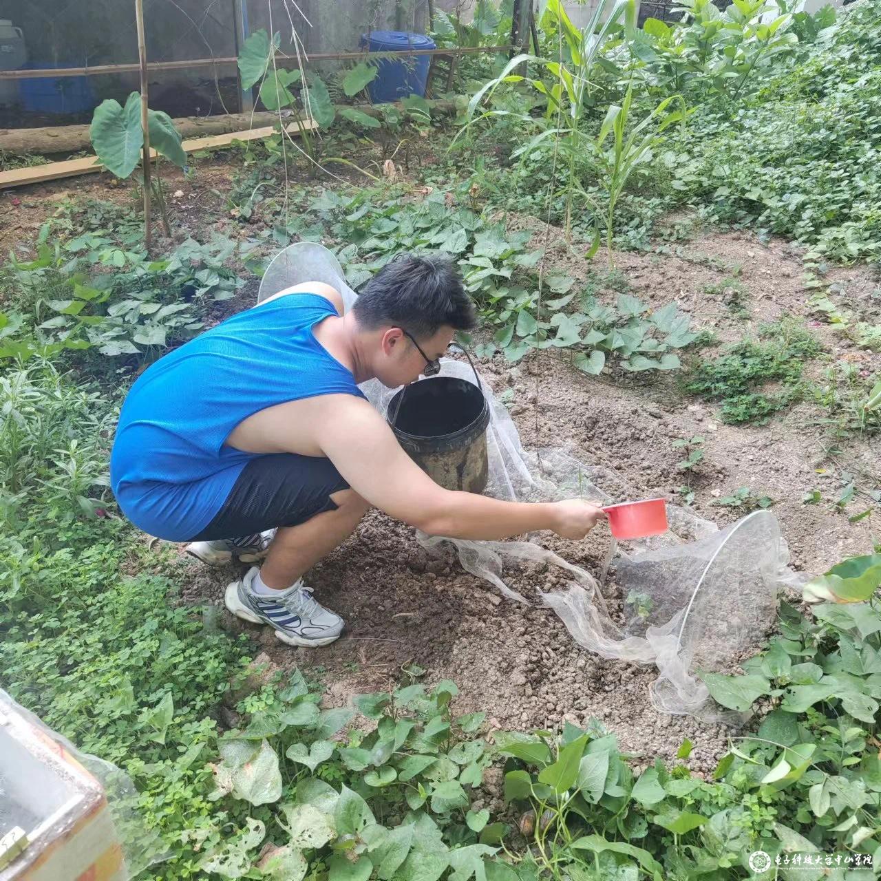 sunbet申博,申博官网,sunbet官网