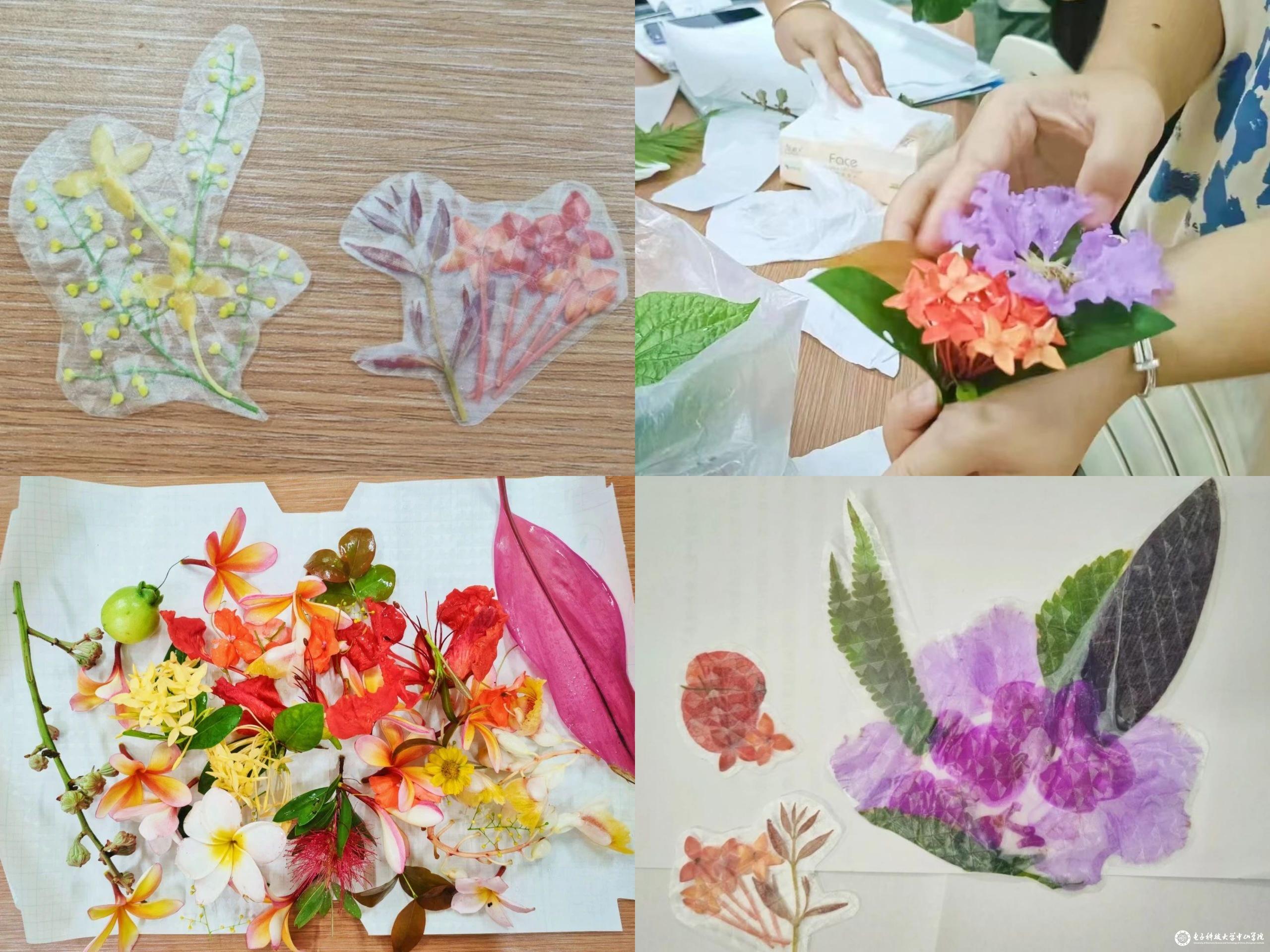 sunbet申博,申博官网,sunbet官网