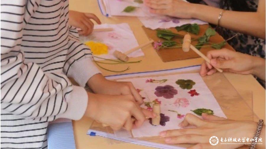 sunbet申博,申博官网,sunbet官网