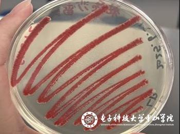 sunbet申博,申博官网,sunbet官网