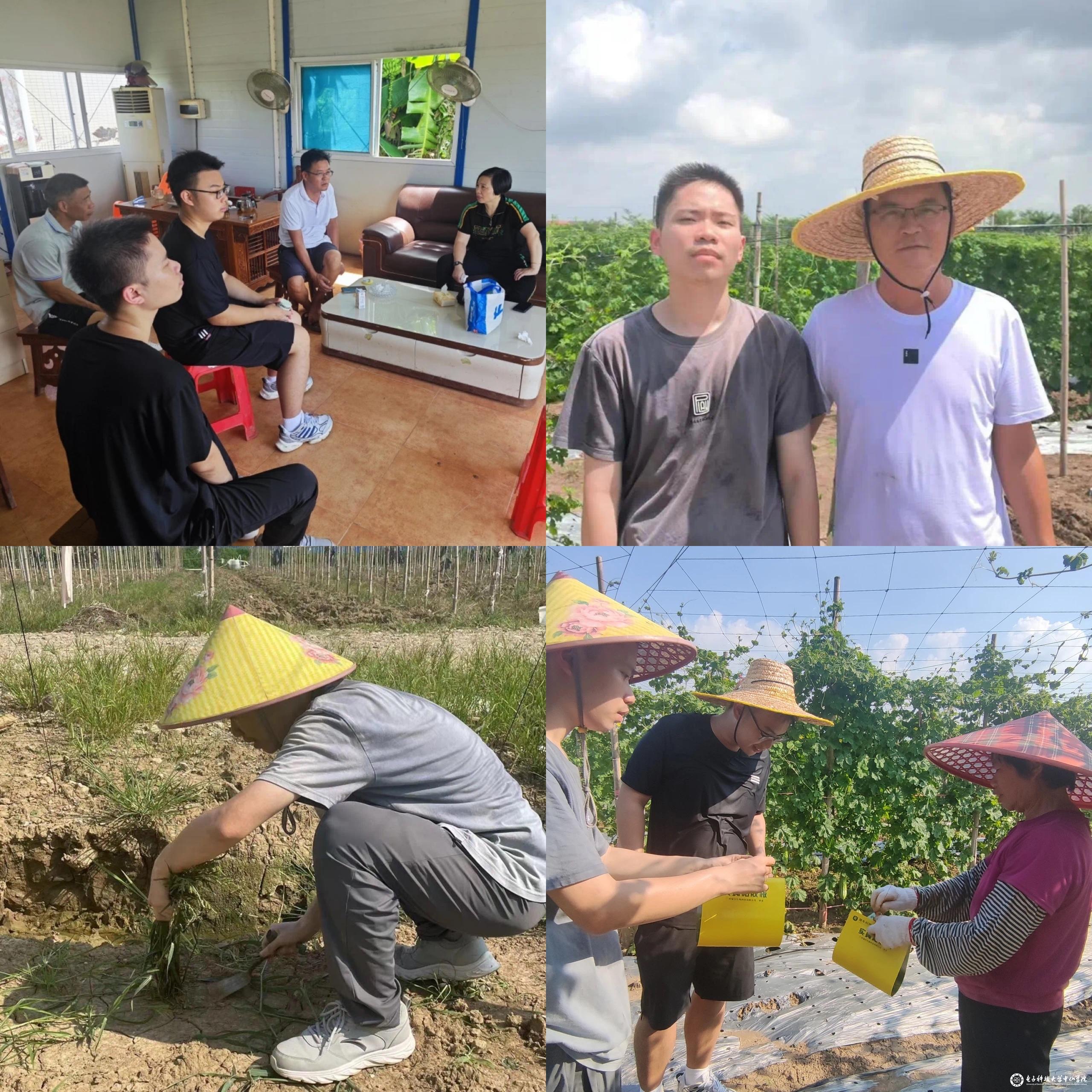 sunbet申博,申博官网,sunbet官网