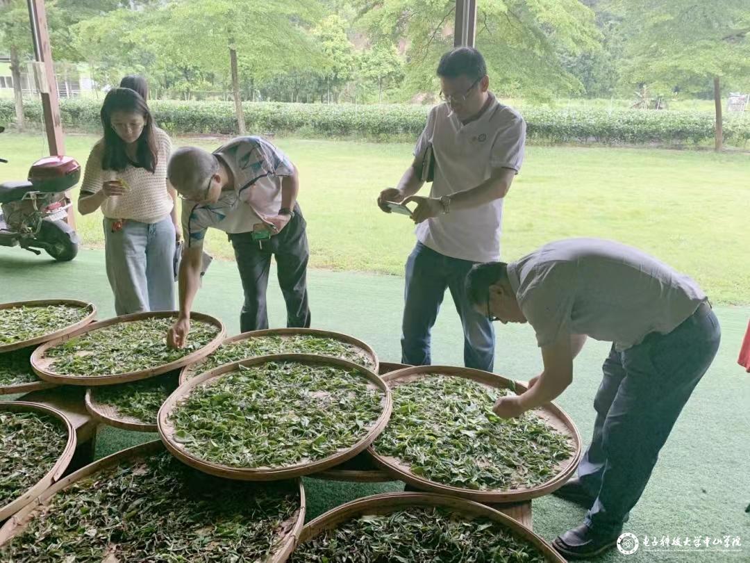 sunbet申博,申博官网,sunbet官网