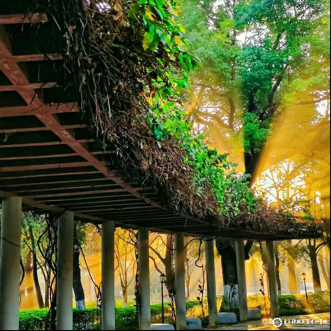 sunbet申博,申博官网,sunbet官网