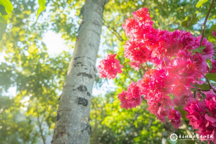 sunbet申博,申博官网,sunbet官网