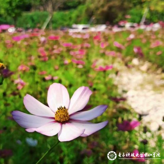 sunbet申博,申博官网,sunbet官网