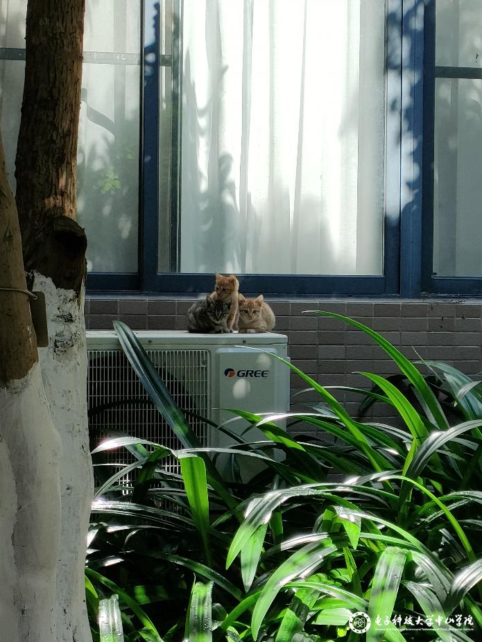 sunbet申博,申博官网,sunbet官网