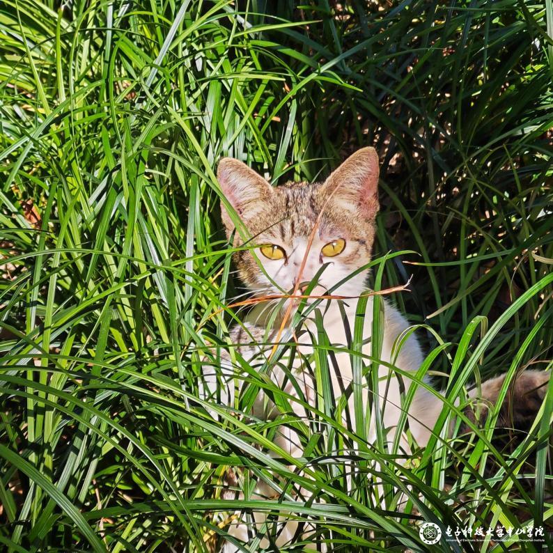 sunbet申博,申博官网,sunbet官网