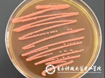 sunbet申博,申博官网,sunbet官网