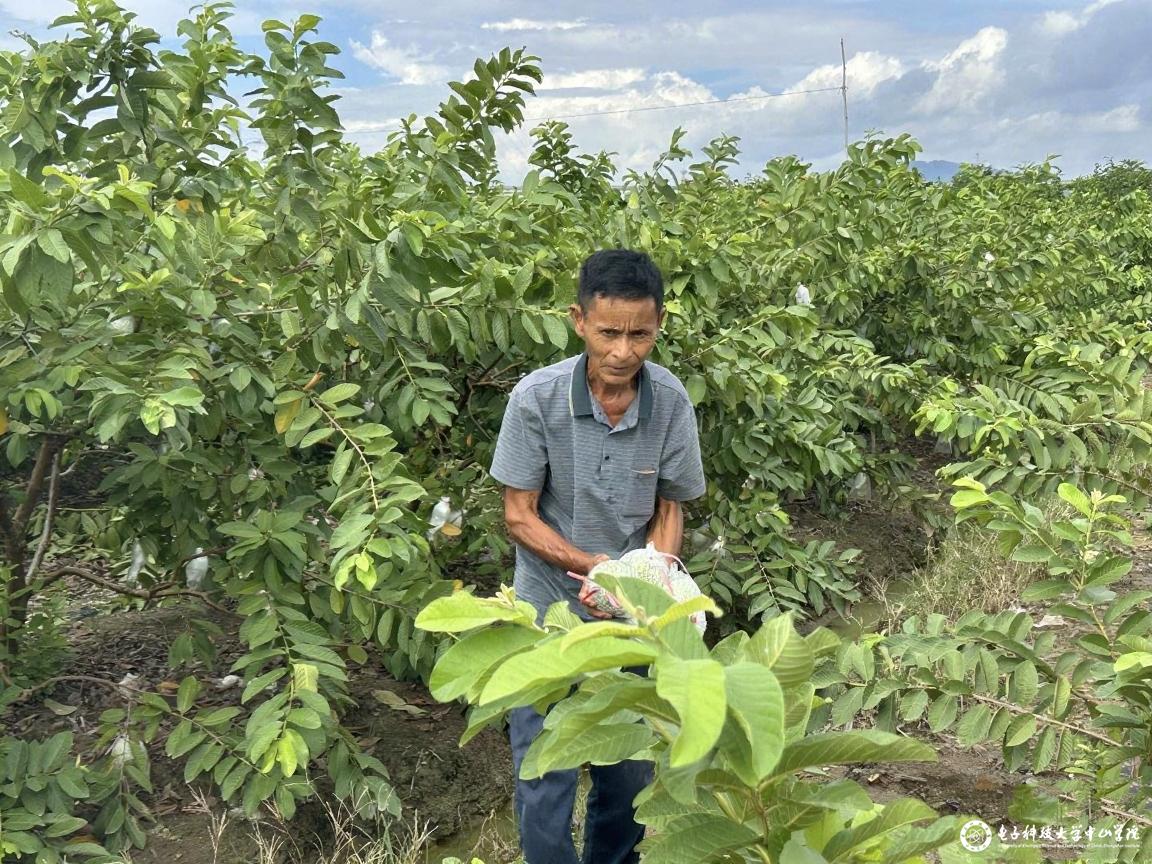 sunbet申博,申博官网,sunbet官网