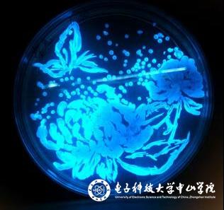 sunbet申博,申博官网,sunbet官网