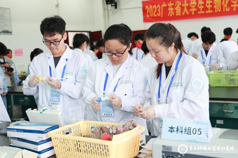 sunbet申博,申博官网,sunbet官网