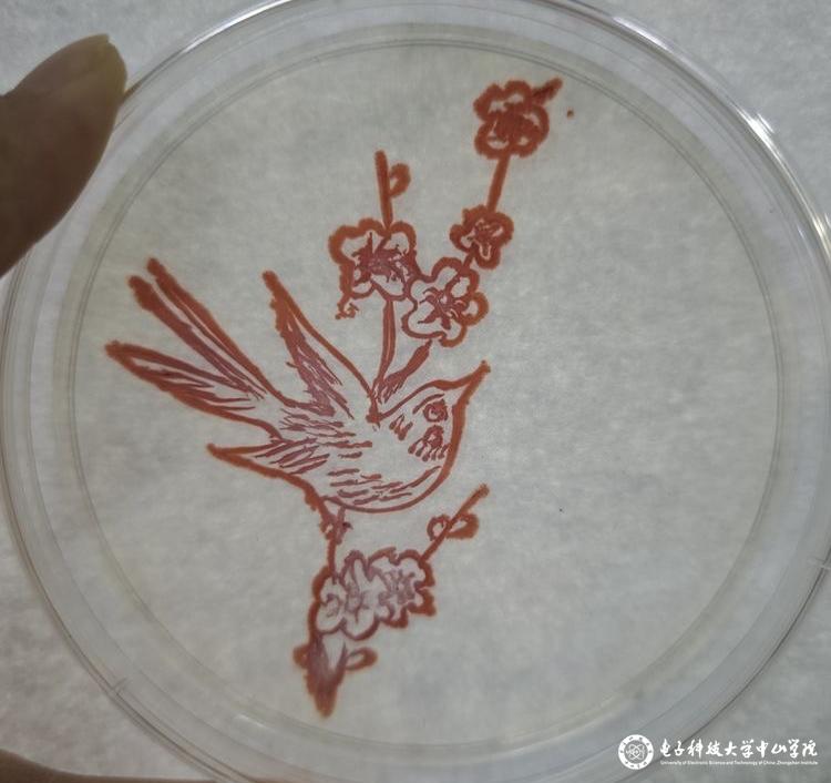 sunbet申博,申博官网,sunbet官网