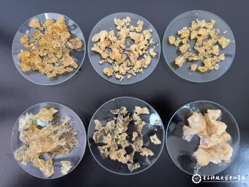 sunbet申博,申博官网,sunbet官网