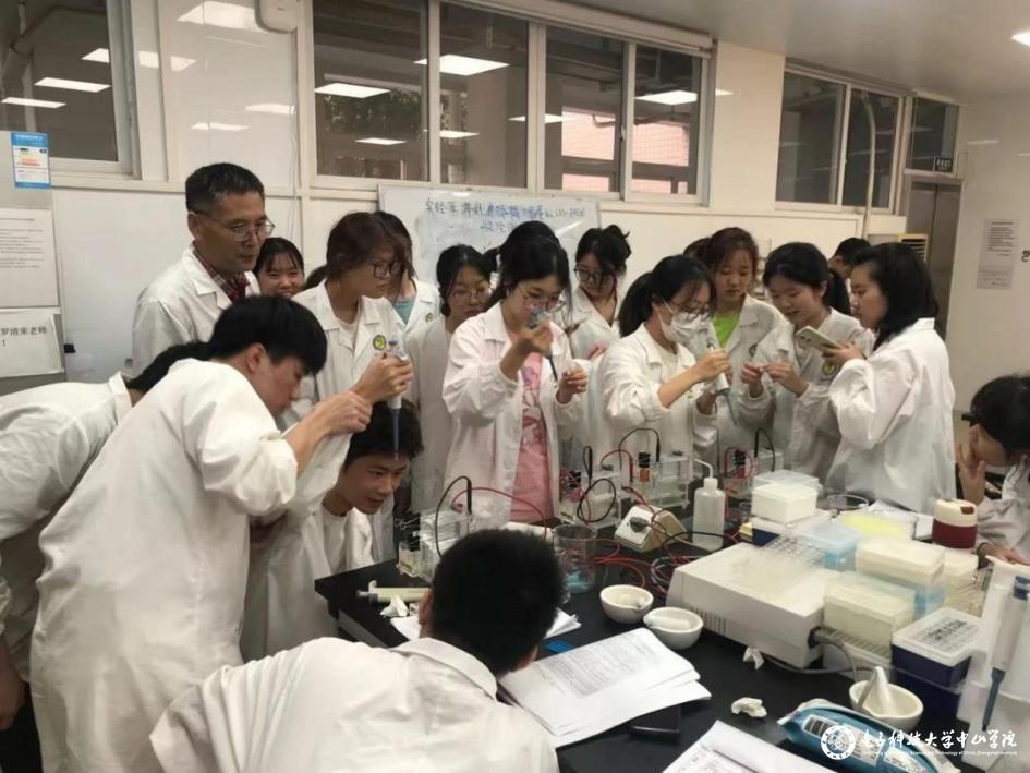 sunbet申博,申博官网,sunbet官网