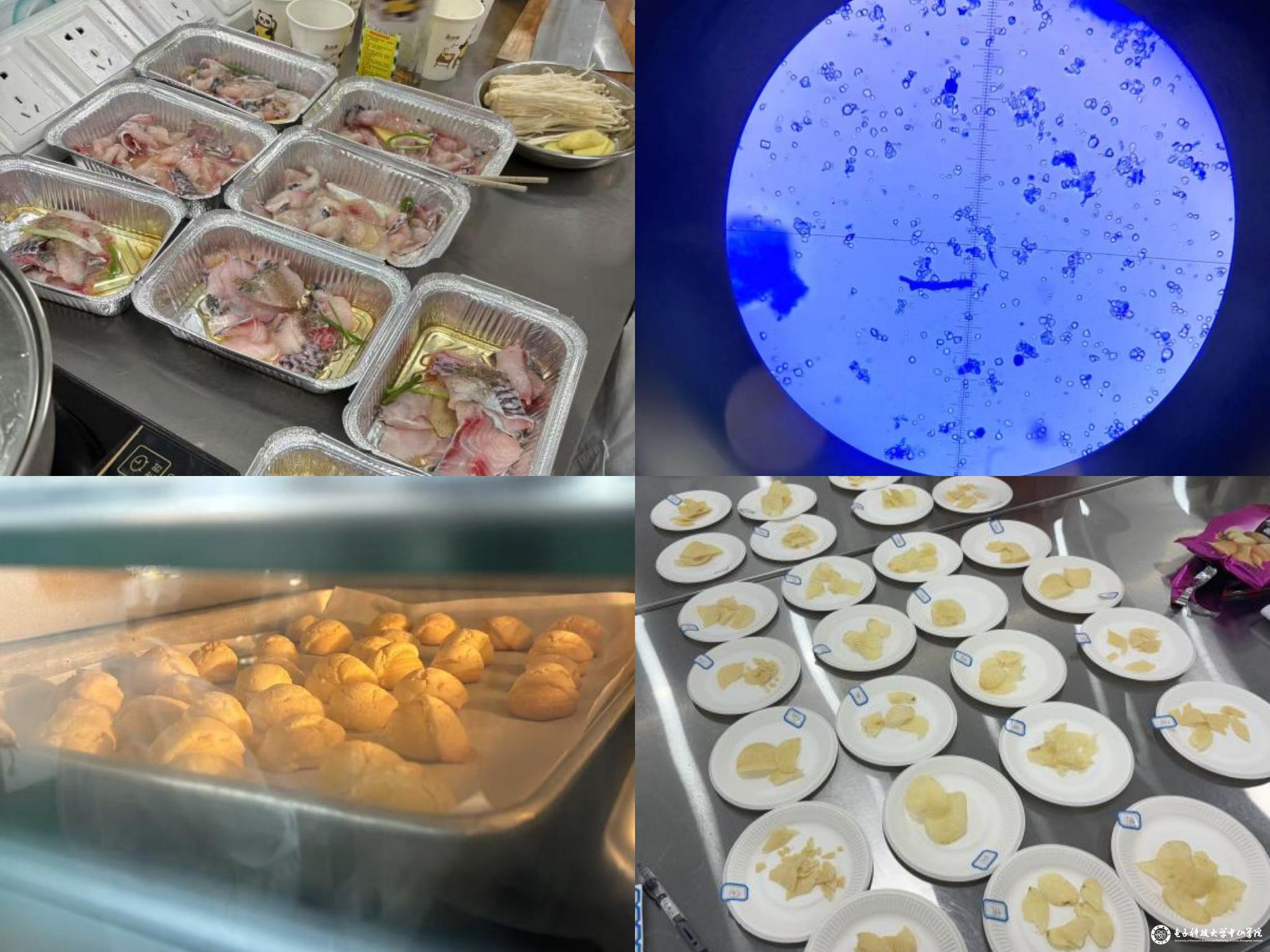 sunbet申博,申博官网,sunbet官网